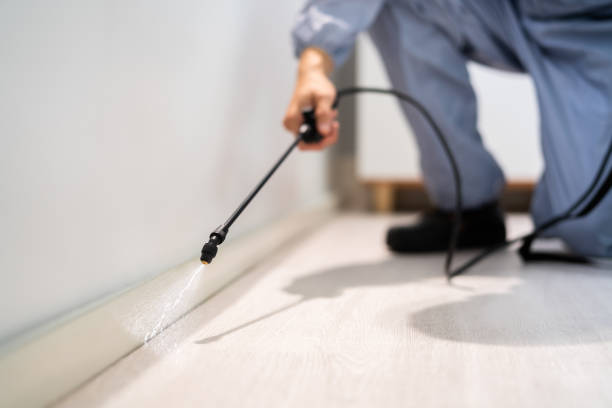 Licensed Termite Control service in Smithsburg, MD - Show Me Pest Control